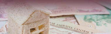 LOANS