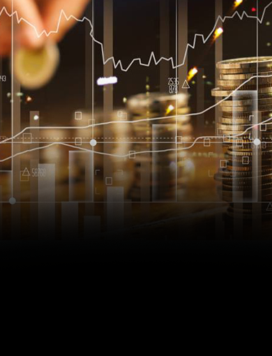 Hbl Treasury Services