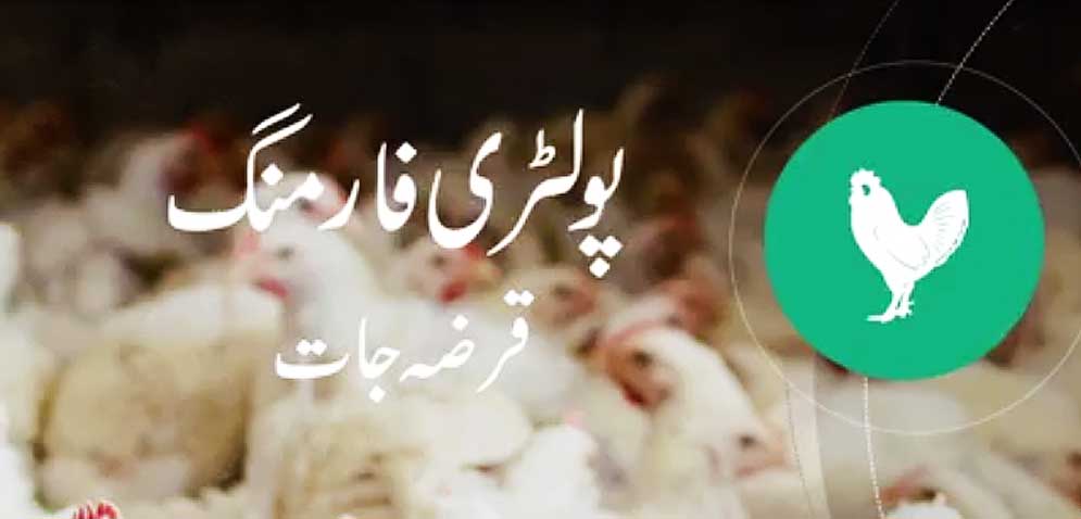 Rural Banking Poultry